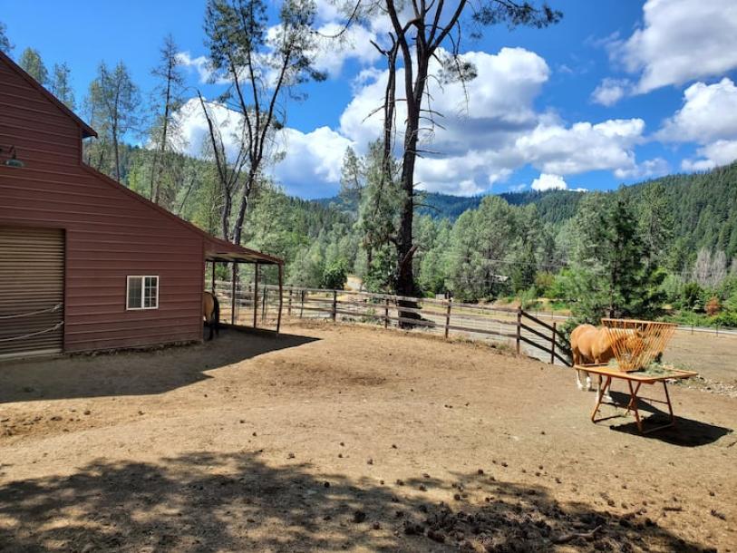 Entire cabin in Douglas City, California 4 guests2 bedrooms2 beds2 baths-0