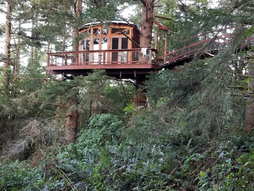 Treehouse in Bodega Bay, California 2 guests1 bedroom1 bed1 bath-5
