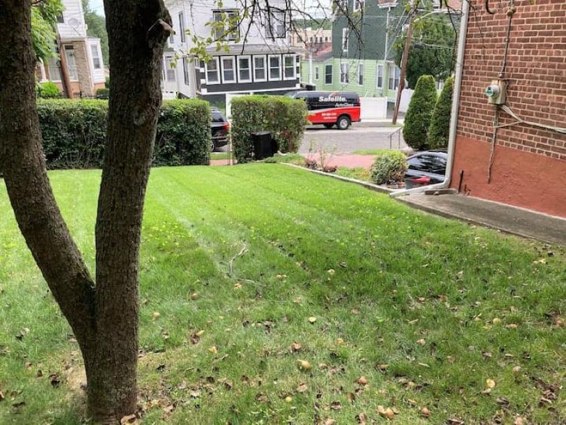Private room in townhouse in Mount Vernon, New York, United States 2 guests1 bedroom1 bed1 private bath-11