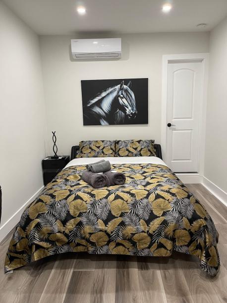 Room in Elmont, New York, United States 1 queen bedPrivate attached bathroom-1