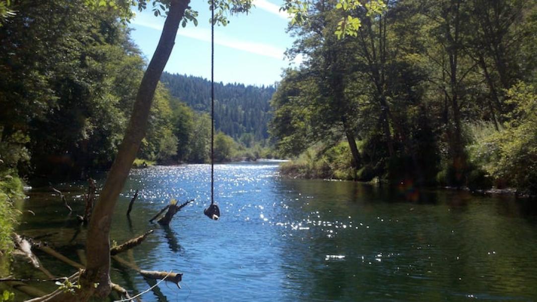 Entire cabin in Douglas City, California 4 guests2 bedrooms2 beds2 baths-10