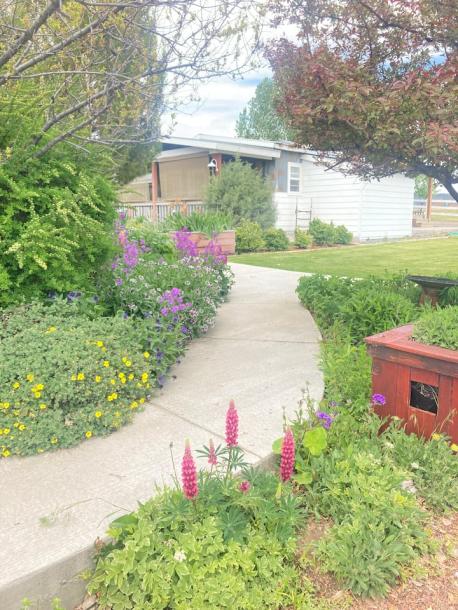 Entire guesthouse in Alturas, California 2 guests1 bedroom1 bath-1