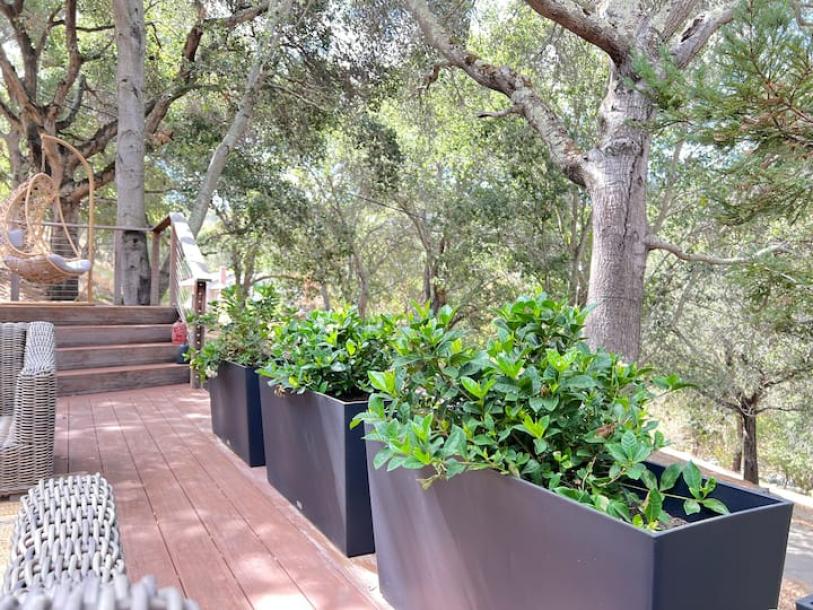 Entire guesthouse in Woodside, California 4 guests2 bedrooms2 beds1 bath-1