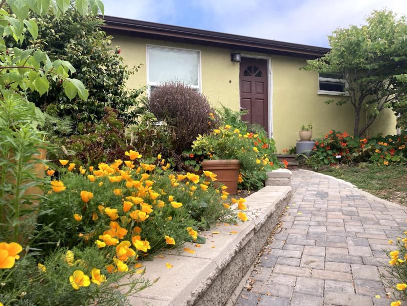 Entire home in Baywood-Los Osos, California 2 guests1 bedroom1 bed1 bath-0