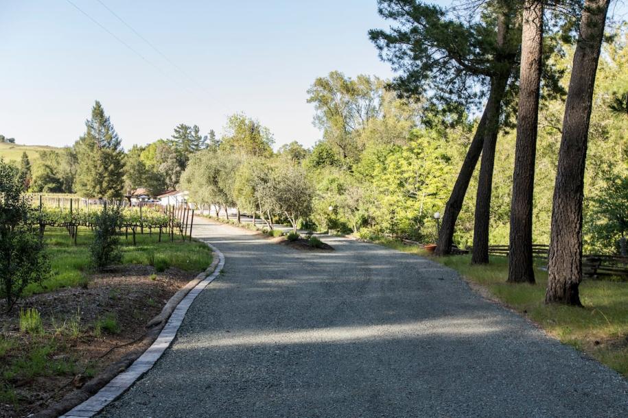 Private room in villa in Napa, California 2 guests1 bedroom1 bed1 private bath-1