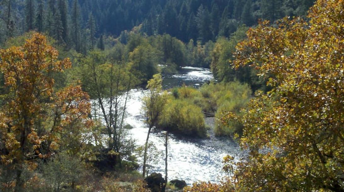 Entire cabin in Douglas City, California 4 guests2 bedrooms2 beds2 baths-2