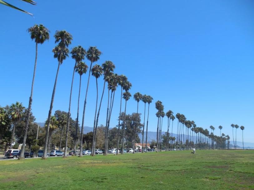 Entire guesthouse in Santa Barbara, California 2 guests1 bedroom1 bed1 bath-2