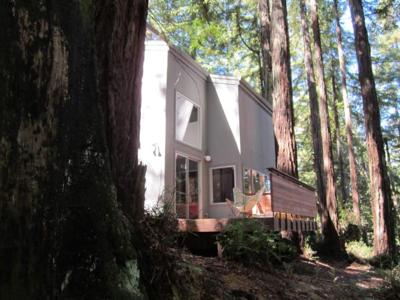 Entire cabin in Cazadero, California 3 guests1 bedroom1 bed1 bath-0