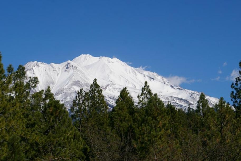 Entire rental unit in Weed, California 2 guests1 bedroom1 bed1 bath-10