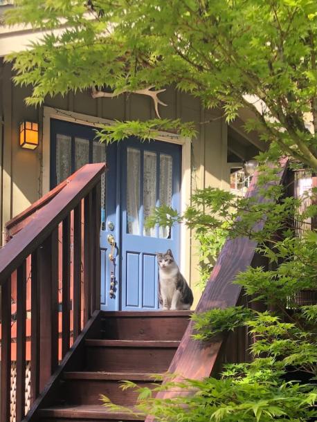 Entire place in Aptos, California 2 guests1 bedroom1 bed1 bath-0