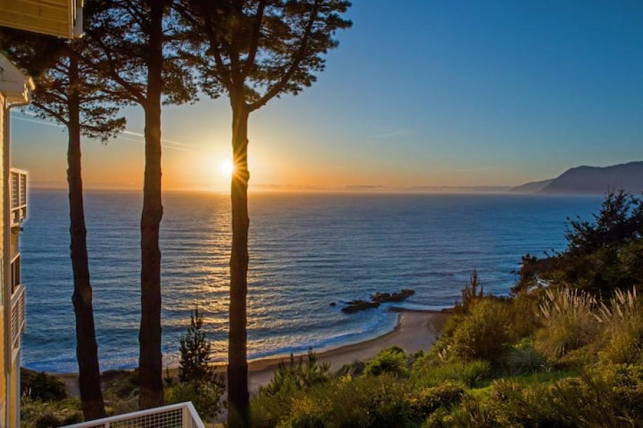 Entire condo in Whitethorn, California 4 guests1 bedroom3 beds1 bath-1
