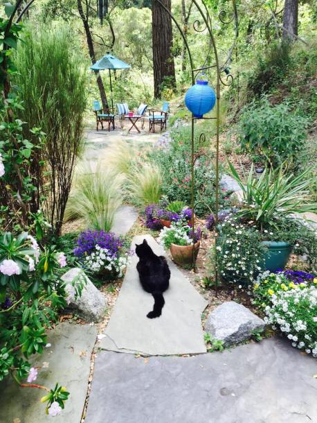 Entire place in Aptos, California 2 guests1 bedroom1 bed1 bath-6