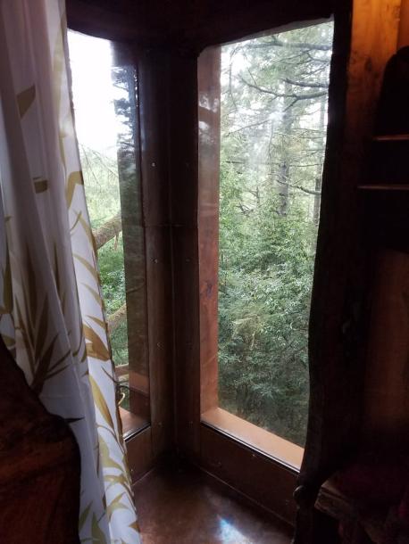 Treehouse in Bodega Bay, California 2 guests1 bedroom1 bed1 bath-12