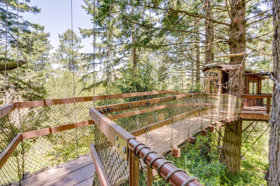Treehouse in Bodega Bay, California 2 guests1 bedroom1 bed1 bath-7