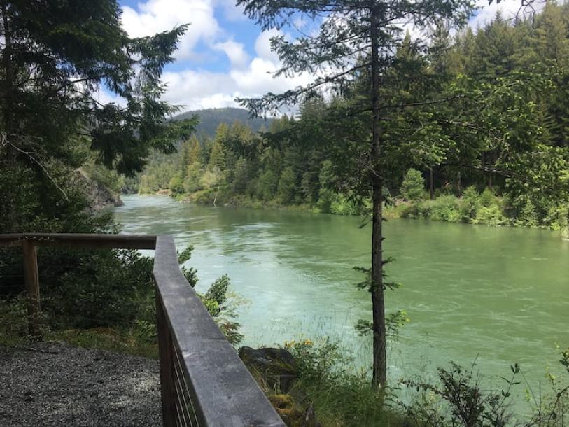 Entire cabin in Crescent City, California 4 guests1 bedroom2 beds1 bath-8