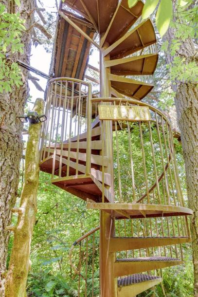 Treehouse in Bodega Bay, California 2 guests1 bedroom1 bed1 bath-3