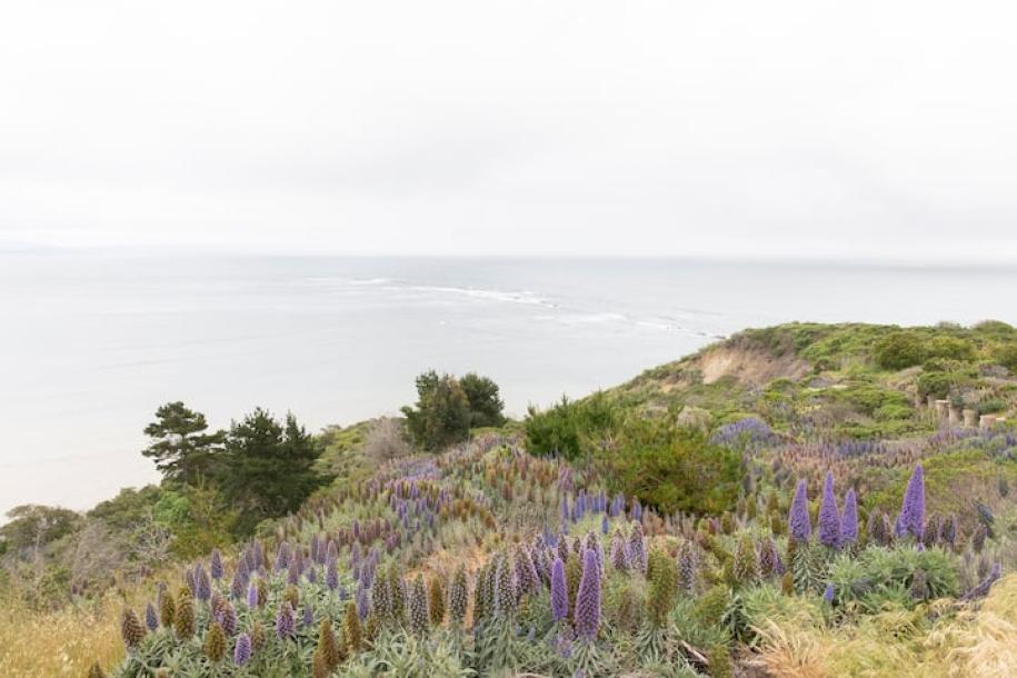 Entire home in Bolinas, California 2 guestsStudio1 bed1 bath-7