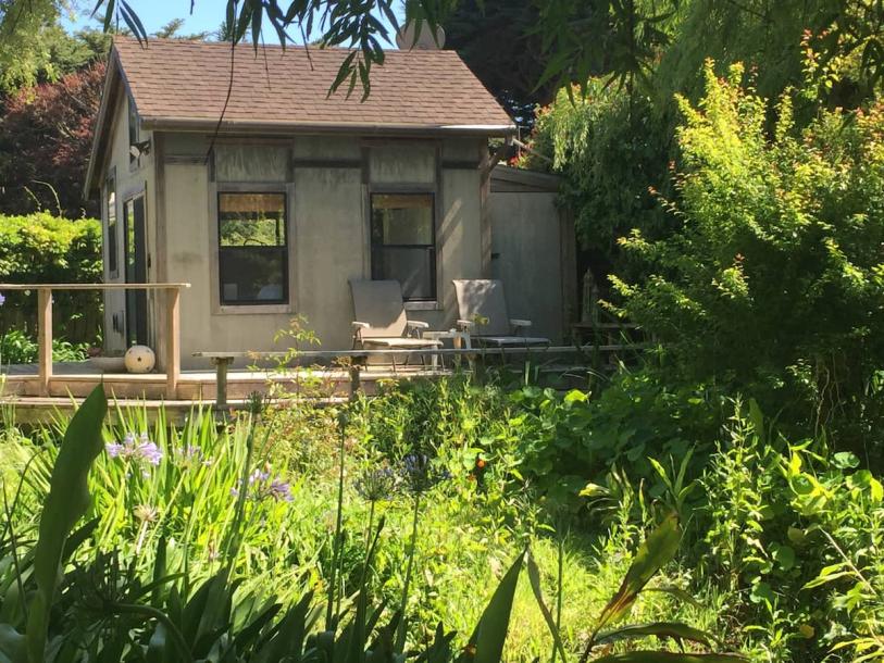 Entire home in Bolinas, California 2 guestsStudio1 bed1 bath-0