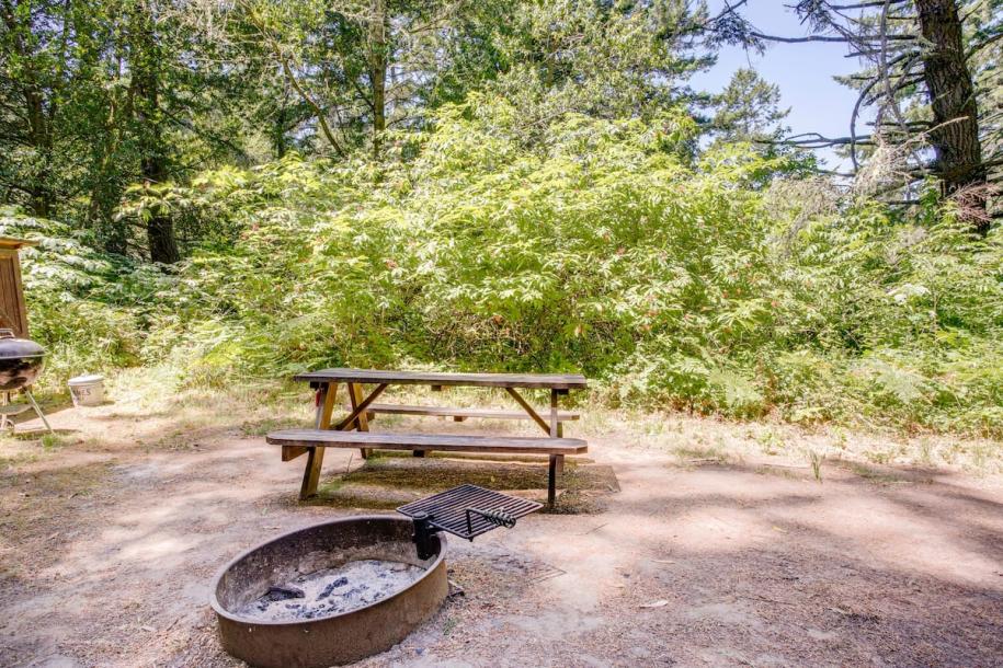 Treehouse in Bodega Bay, California 2 guests1 bedroom1 bed1 bath-9