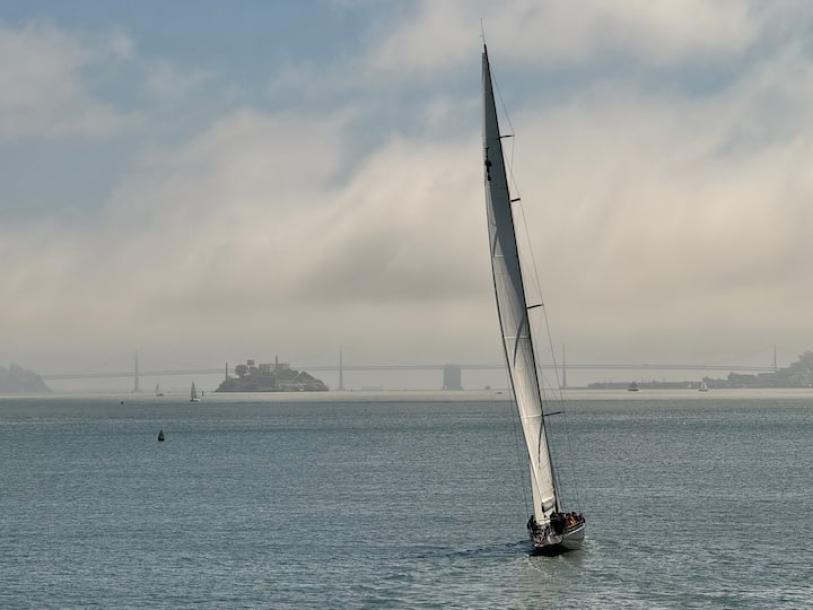 Entire rental unit in Sausalito, California 2 guests1 bedroom1 bed1 bath-5