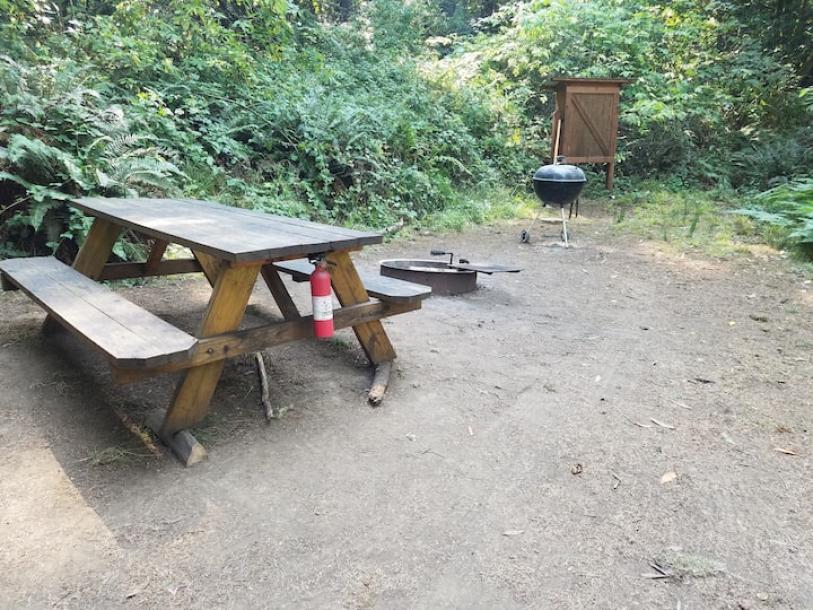 Treehouse in Bodega Bay, California 2 guests1 bedroom1 bed1 bath-6
