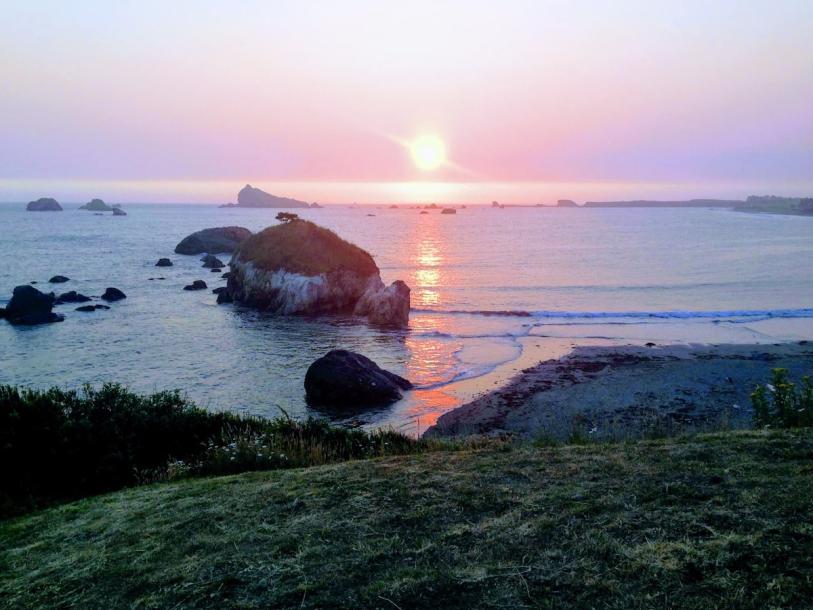 Entire cottage in Crescent City, California 3 guests1 bedroom2 beds1 bath-1