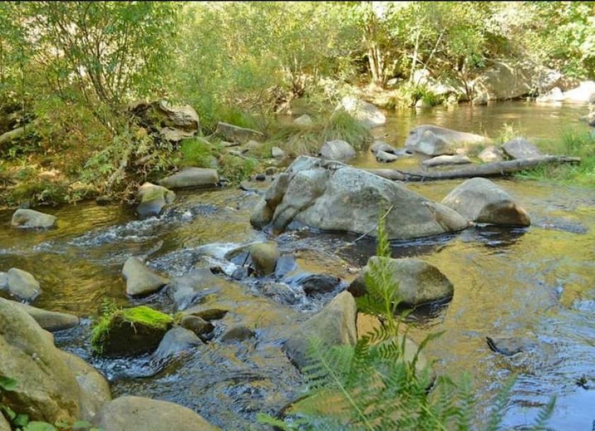 Entire cottage in Nevada City, California 3 guests1 bedroom1 bed1 bath-5