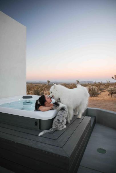 Entire home in Joshua Tree, California 6 guests2 bedrooms2 beds3 baths-15