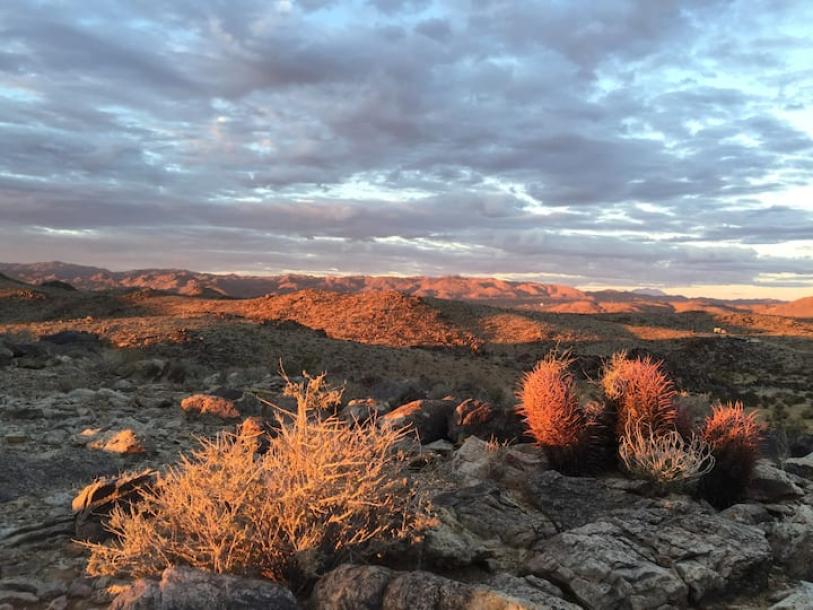 Entire cabin in Joshua Tree, California 2 guestsStudio1 bed1 bath-1