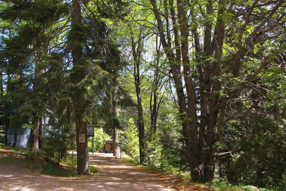 Entire rental unit in Weed, California 2 guests1 bedroom1 bed1 bath-4