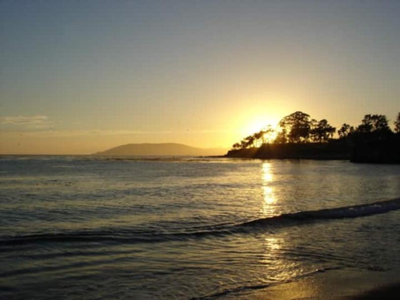 Entire cottage in Pismo Beach, California 4 guests1 bedroom2 beds1 bath-2