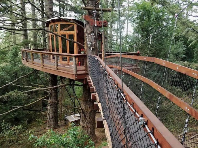 Treehouse in Bodega Bay, California 2 guests1 bedroom1 bed1 bath-0