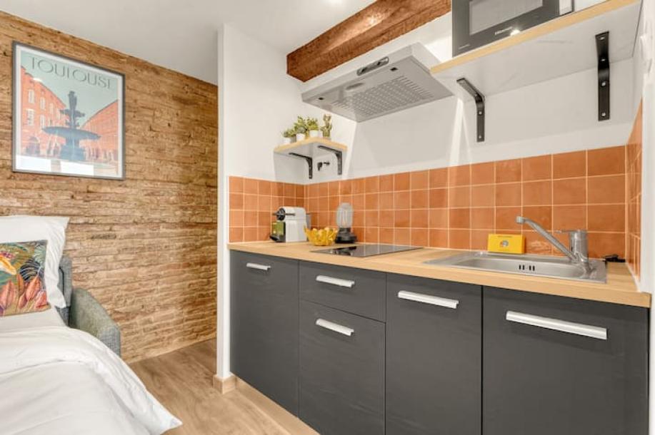Entire rental unit in Toulouse, France 2 guestsStudio1 bed1 bath-2