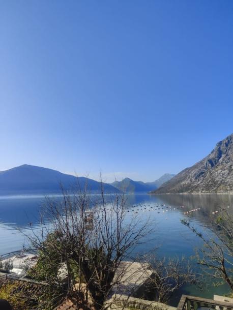 Entire rental unit in Kotor, Montenegro 2 guestsStudio2 beds1 bath-2