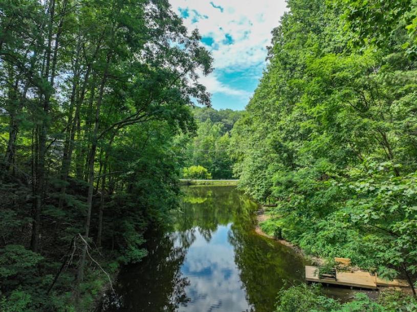 Entire cabin in Sevierville, Tennessee 5 guests2 bedrooms3 beds2 baths-1