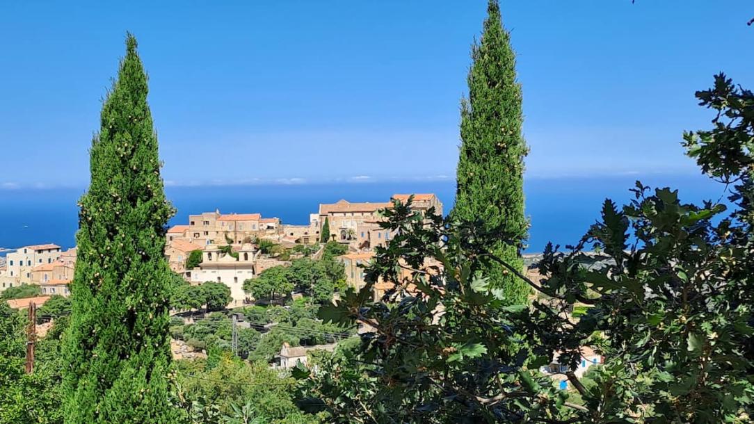 Entire villa in Pigna, France 3 guests1 bedroom1 bed1 bath-15