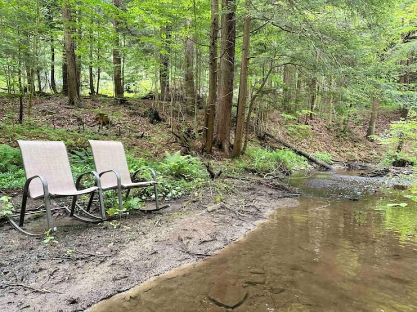 Entire guesthouse in Forestville, New York 4 guests1 bedroom2 beds1 bath-2