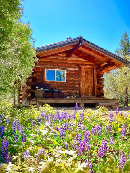 Entire cabin in Mancos, Colorado 4 guestsStudio2 beds1 bath-0