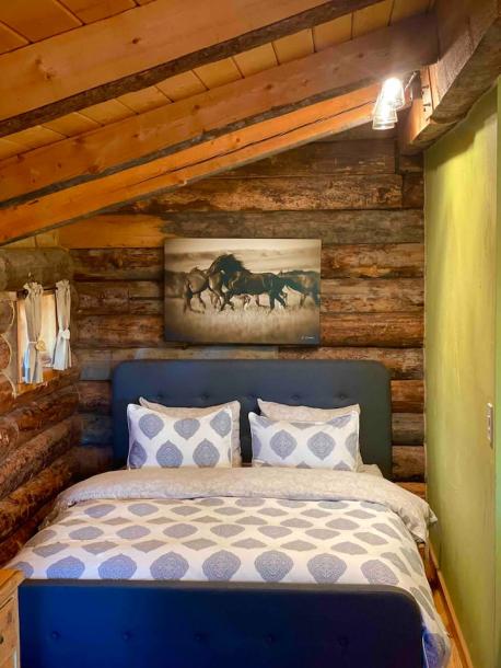 Entire cabin in Mancos, Colorado 4 guestsStudio2 beds1 bath-12