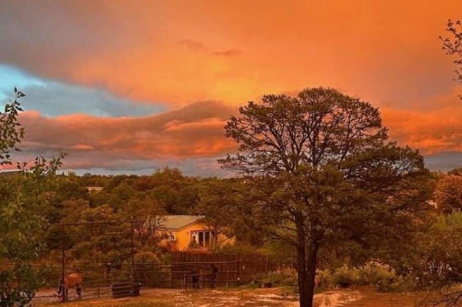 Entire guesthouse in Santa Fe, New Mexico 2 guests1 bedroom2 beds1 bath-6
