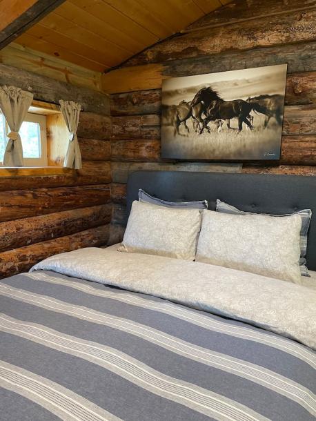 Entire cabin in Mancos, Colorado 4 guestsStudio2 beds1 bath-2