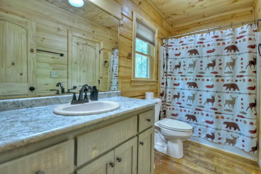 Entire home in Blue Ridge, Georgia 4 guests2 bedrooms2 beds2 baths-5