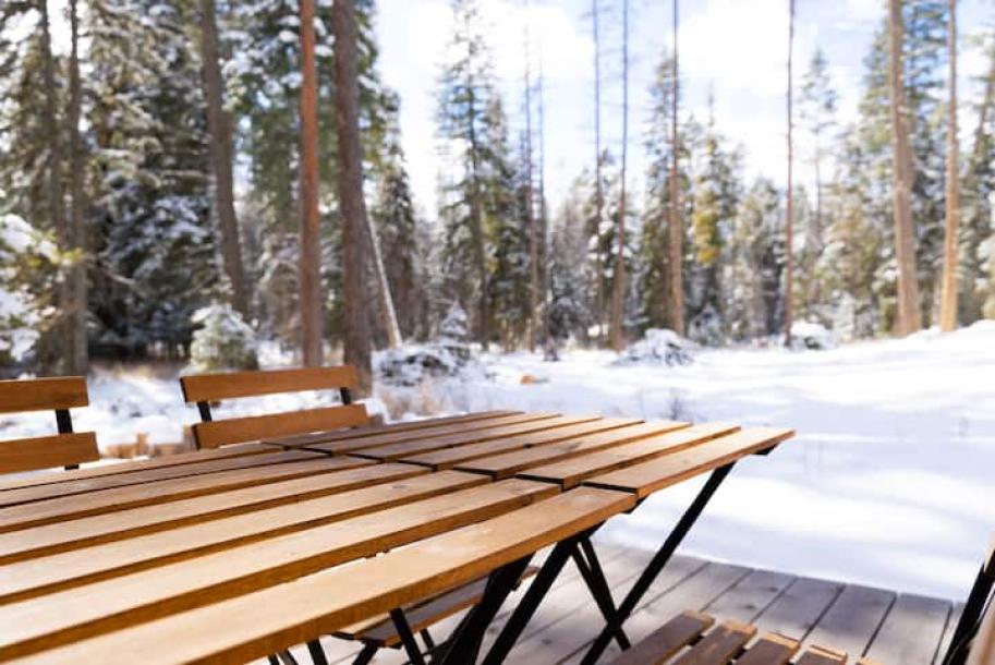 Tiny home in Lakeside, Montana 4 guests1 bedroom1 bed1 bath-3