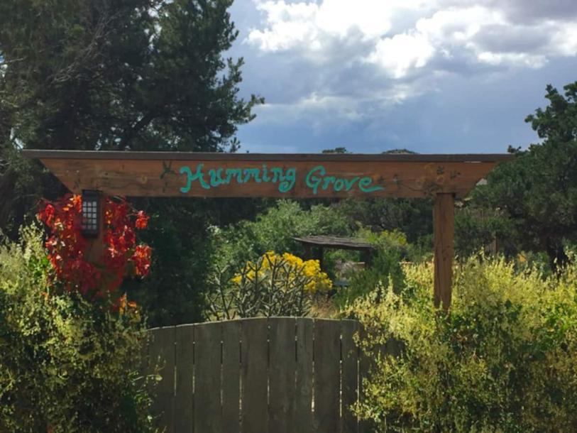 Entire guesthouse in Santa Fe, New Mexico 2 guests1 bedroom2 beds1 bath-5