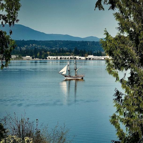 Entire cottage in Bainbridge Island, Washington 4 guests1 bedroom3 beds1 bath-16