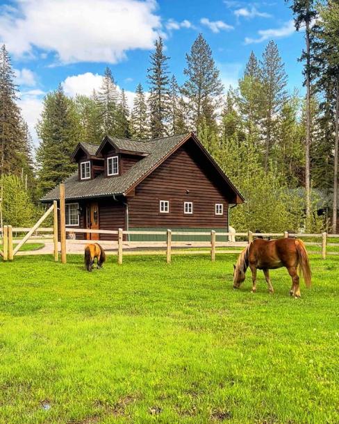 Entire cabin in Columbia Falls, Montana 4 guestsStudio2 beds1 bath-15