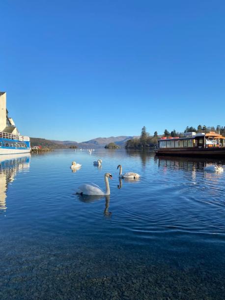 Barn in Bowness-on-Windermere, United Kingdom 2 guests1 bedroom1 bed1 bath-2