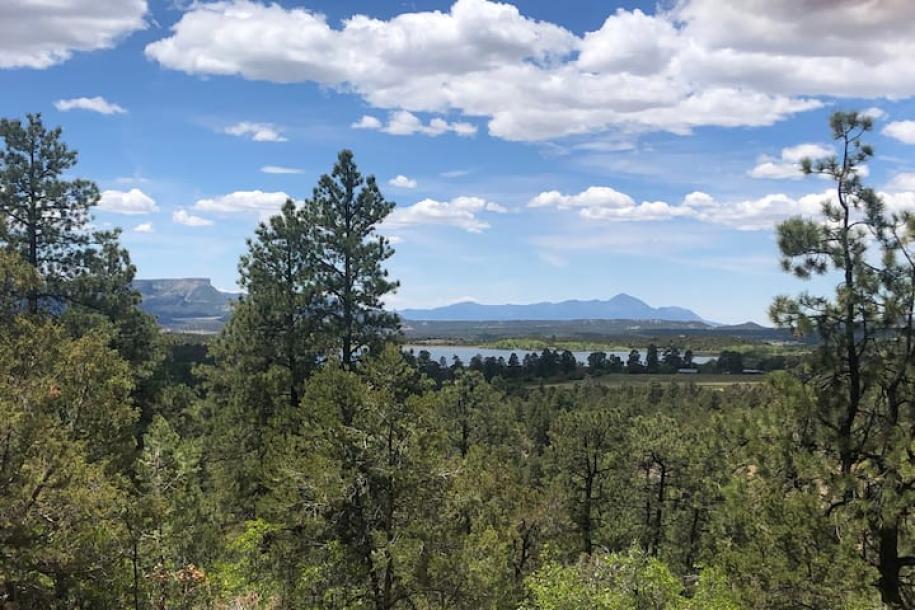 Entire cabin in Mancos, Colorado 4 guestsStudio2 beds1 bath-7