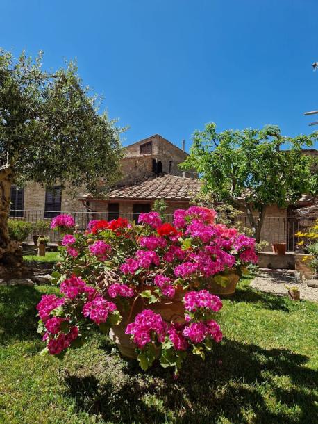 Entire home in San Gimignano, Italy 2 guests1 bedroom1 bed1 bath-3
