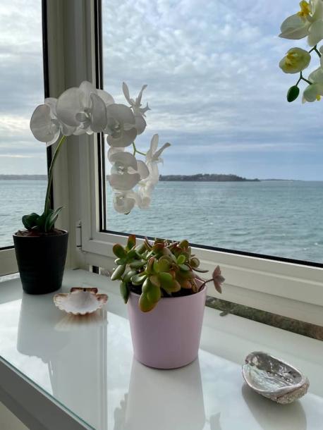 Entire rental unit in Trélévern, France 2 guests1 bedroom1 bed1 bath-1